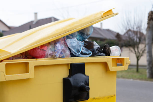 Best Demolition Debris Removal  in Ruhenstroth, NV
